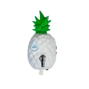 Filtro purificador de agua Piña Blanca Biotrade SAS Filtros de agua